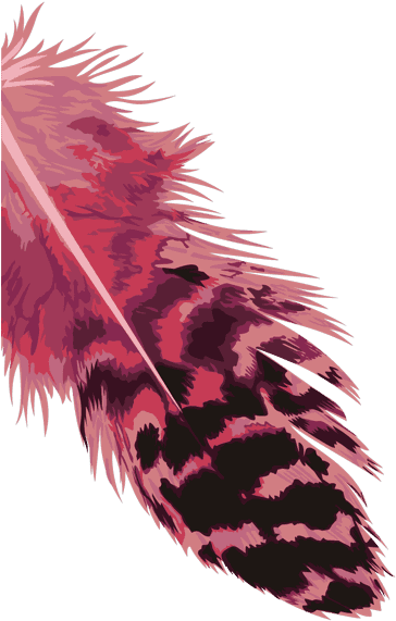 Dark Pink And Black Feather Isolated - Illustration (388x700), Png Download