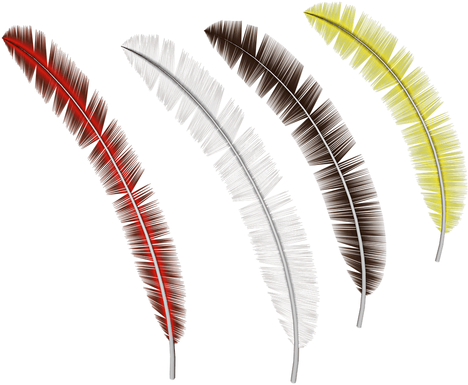 Feathers Collection - Fantasy Pen Png (1280x800), Png Download