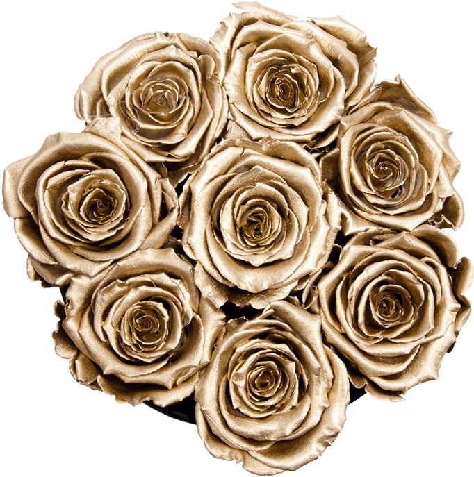 Prev - Garden Roses (800x800), Png Download