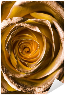 Tapety Zlota Roza Na Telefon (400x400), Png Download