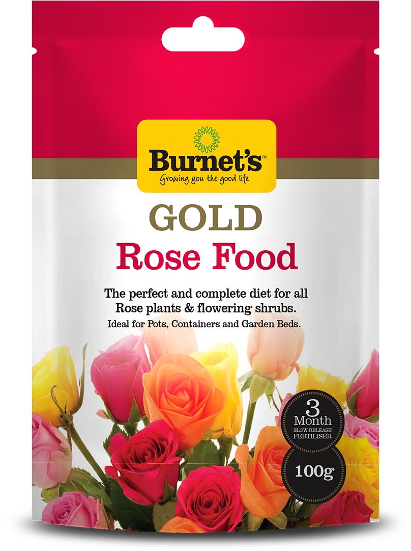 Burnets Gold Slow Release Rose Fertiliser 100gm - Gulab Jamun (945x1291), Png Download