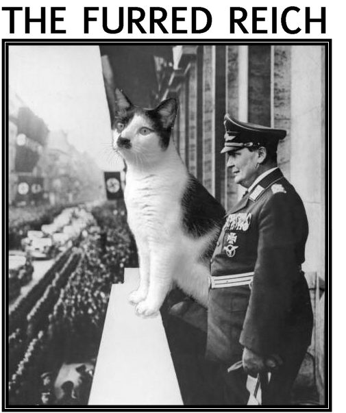 Click Here To - Hitler And A Cat (525x612), Png Download