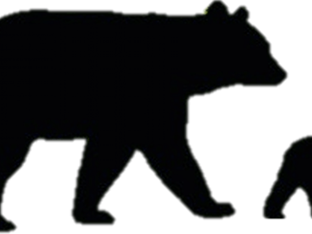 Bear Cub Clipart Sitting Bear - American Black Bear (640x480), Png Download