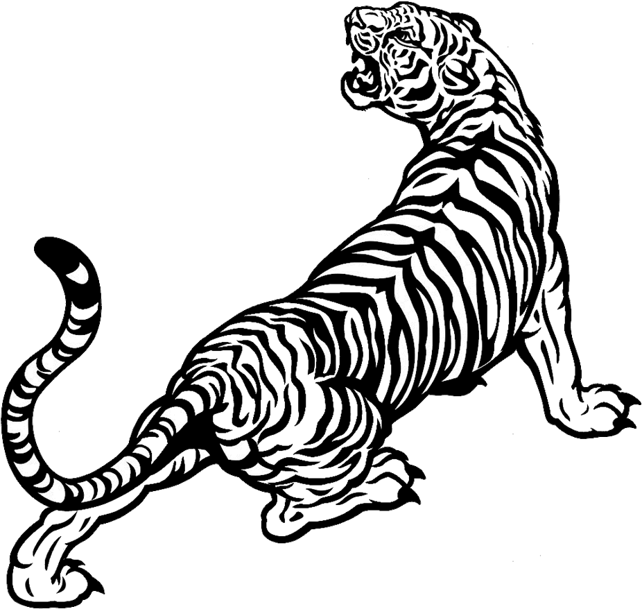 White Tiger Drawing Black And White - Black And White Tiger Drawing (940x905), Png Download