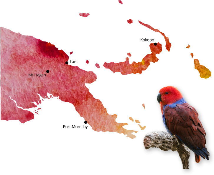 Png-image - Travel Agency (725x696), Png Download