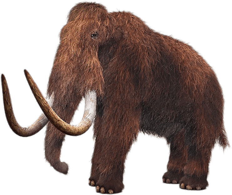 Download - Woolly Mammoth (1024x768), Png Download