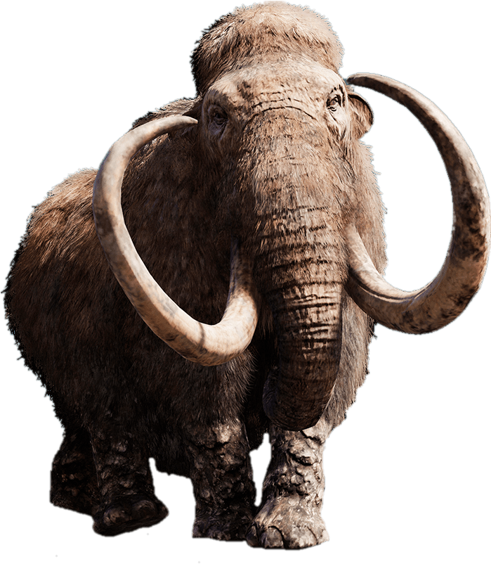 Download - Woolly Mammoth No Background (698x816), Png Download