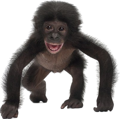 Spy In The Wild: Part One (400x396), Png Download