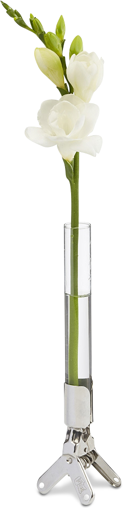 Flower Vase Png Hd - Long Flower Vase Transparent (1200x1200), Png Download