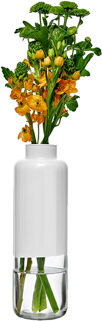 Explore - Design (540x660), Png Download