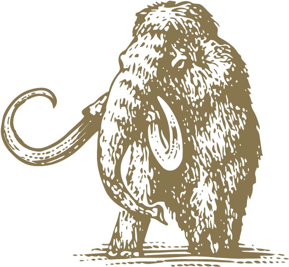 Mammoth - Mammoth Mountain Ski Area (636x633), Png Download