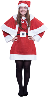 Santa Suit Ladies - Santa Suit (464x348), Png Download