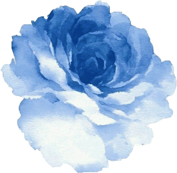 37 Images About Draw On We Heart It - Light Blue Watercolor Flower (720x851), Png Download