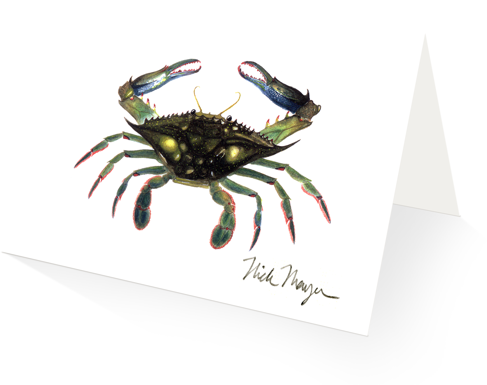 Blue Crab In V=1524851224 - Chesapeake Blue Crab (2048x1650), Png Download