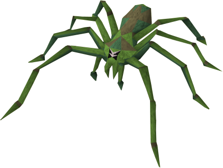 Tarantula Clipart Rainforest Insect - Jungle Spider (437x330), Png Download