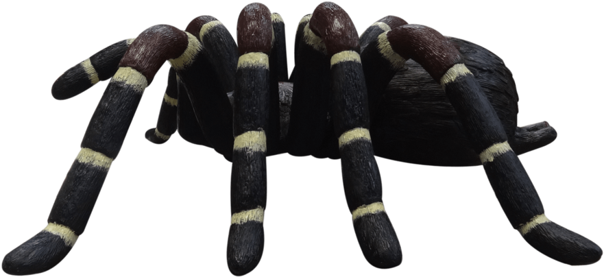 Tarantula Spider Insect Statue - Tarantula (1000x750), Png Download