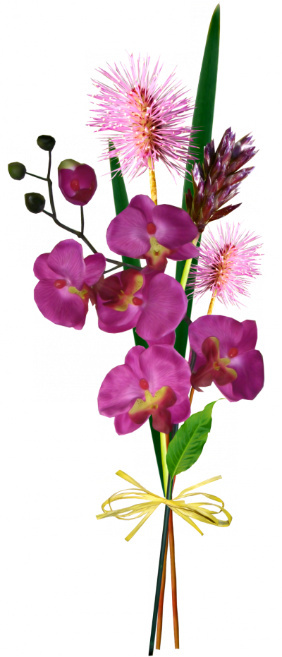 Pin By Jadwiga On Kwiaty Transparent - Tubes Transparent Fleurs Png (400x931), Png Download