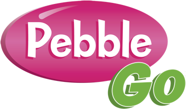 Pebble-go - Pebble Go (401x401), Png Download