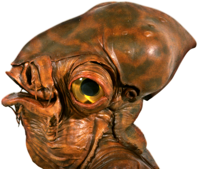 Fish Creature Star Wars (688x588), Png Download