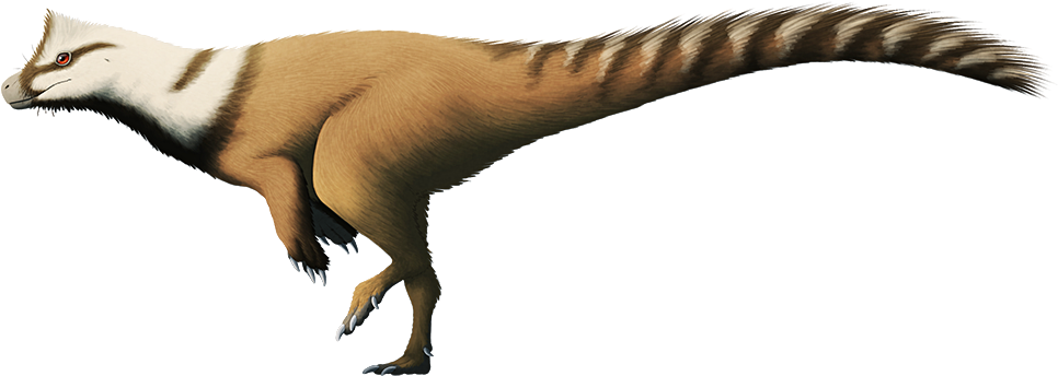 Herrerasaurus Feathers (1000x383), Png Download