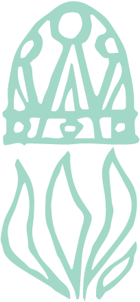 “blessed Are The Poor In Spirit, Theirs Is The Kingdom - Illustration (500x500), Png Download