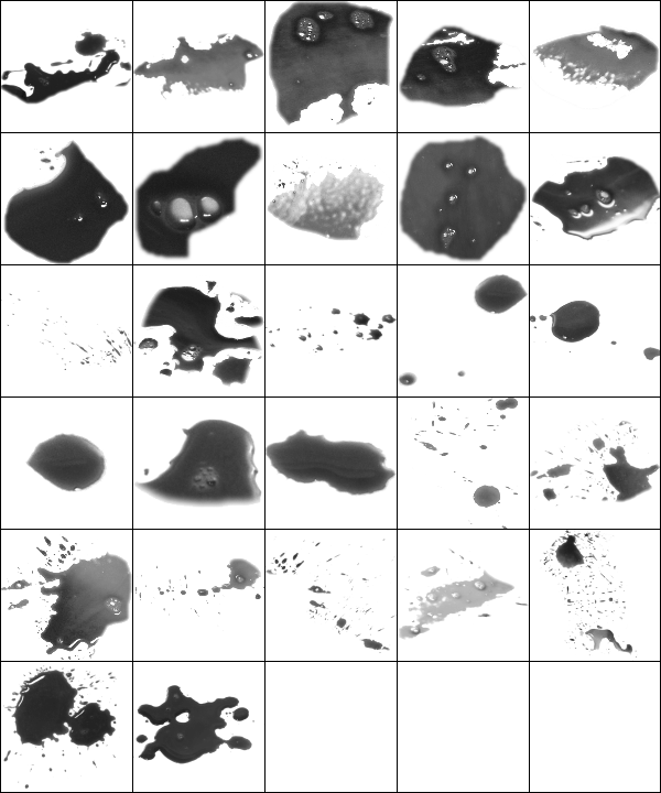 Screenshort - Adobe Photoshop (600x720), Png Download