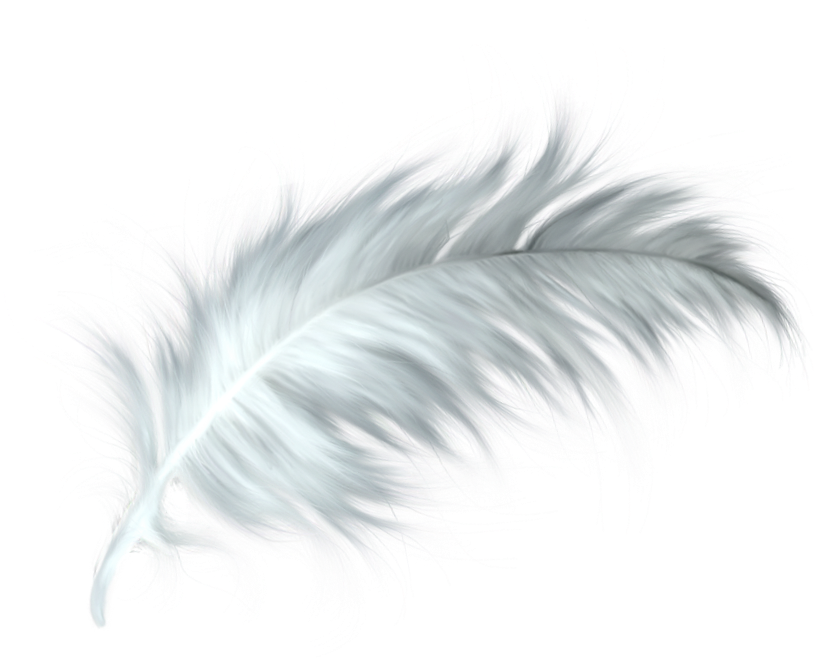 White Feathers Png - White Feather Png (896x754), Png Download