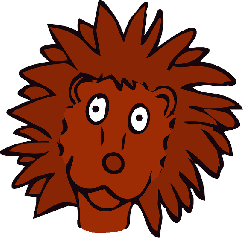 Mb Image/png - Cartoon Lion Face Mugs (800x783), Png Download