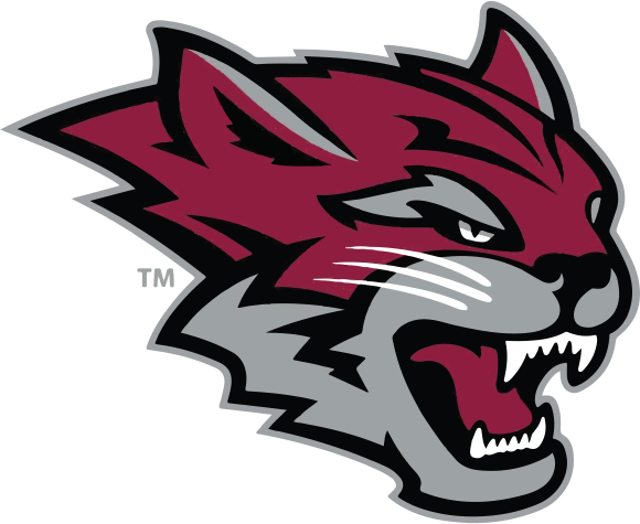 Athletics Wildcat - Frostburg State University Mascot (580x475), Png Download