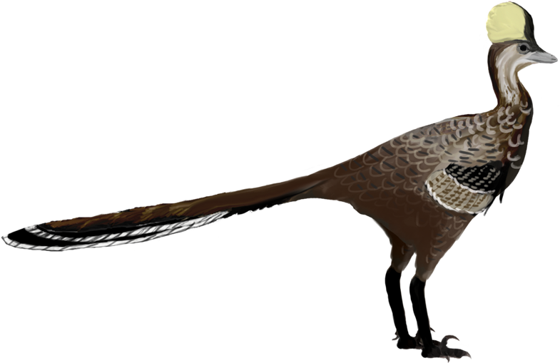 Mei - Mei Dinosaur (800x532), Png Download