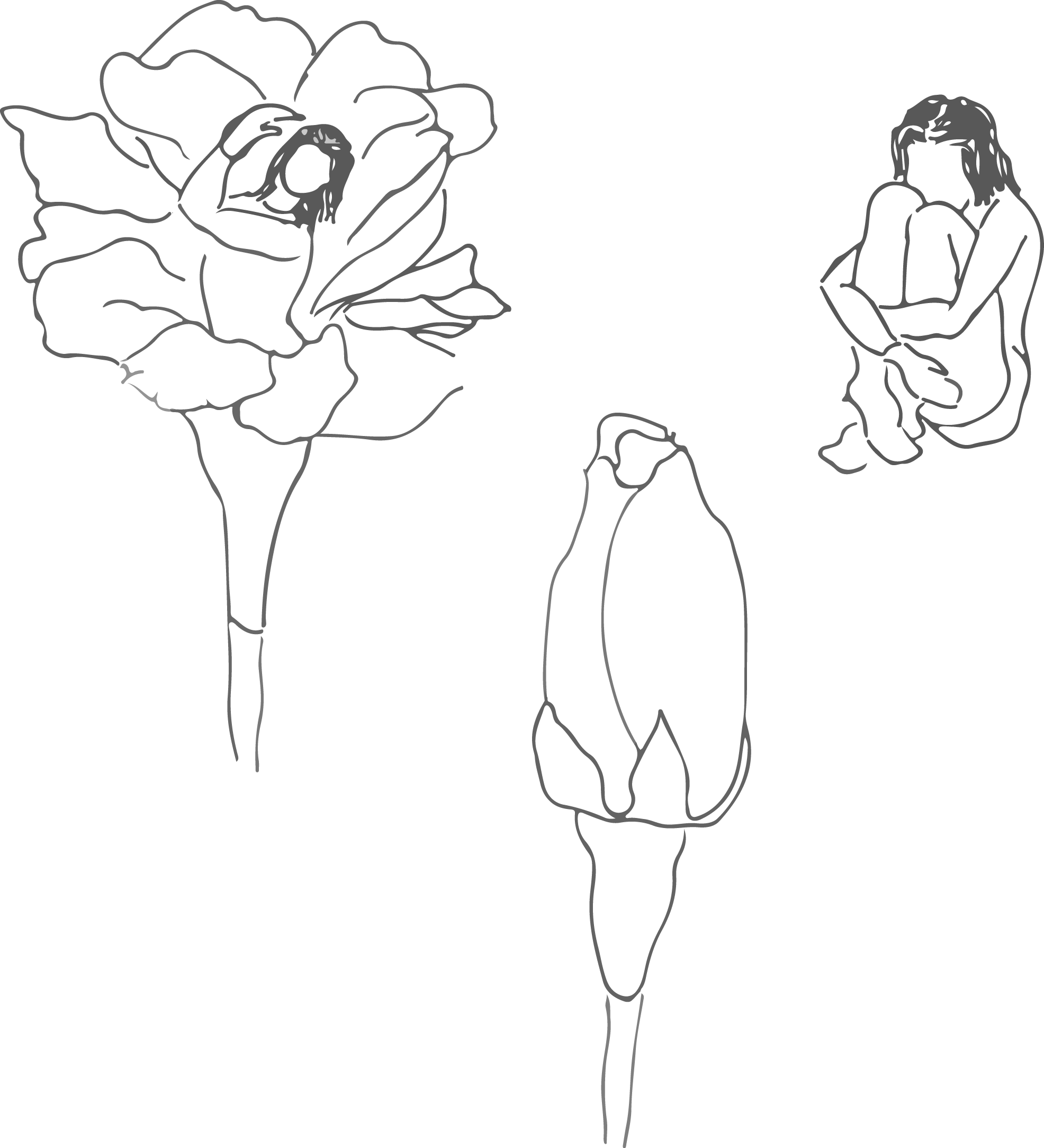 I Originally Didn't Want To Draw And Just Use Photo - Drawing (1972x2167), Png Download