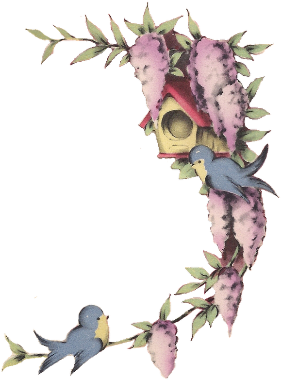 Free Image Little Blue Birds And Wisteria Png Frame - Móbile Gaiola Lute Com Determinação - Tecnolaser (612x800), Png Download