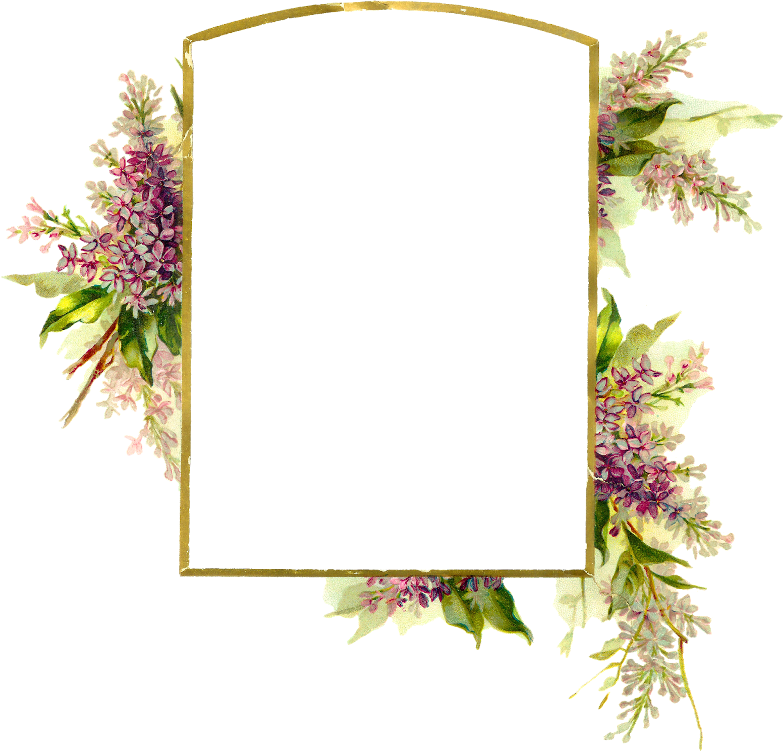 Digital Wisteria Flower Frame Download Png - Clip Art (1600x1573), Png Download