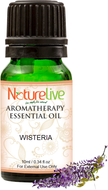 Wisteria Essential Oil 10ml - Essential Oil (800x800), Png Download