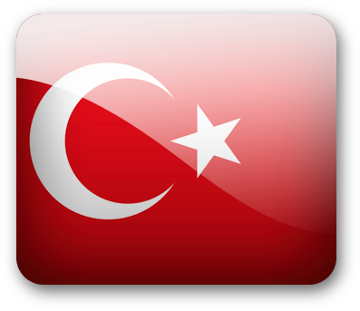 Turkey - Kanla Yapilmis Türk Bayrağı (397x343), Png Download