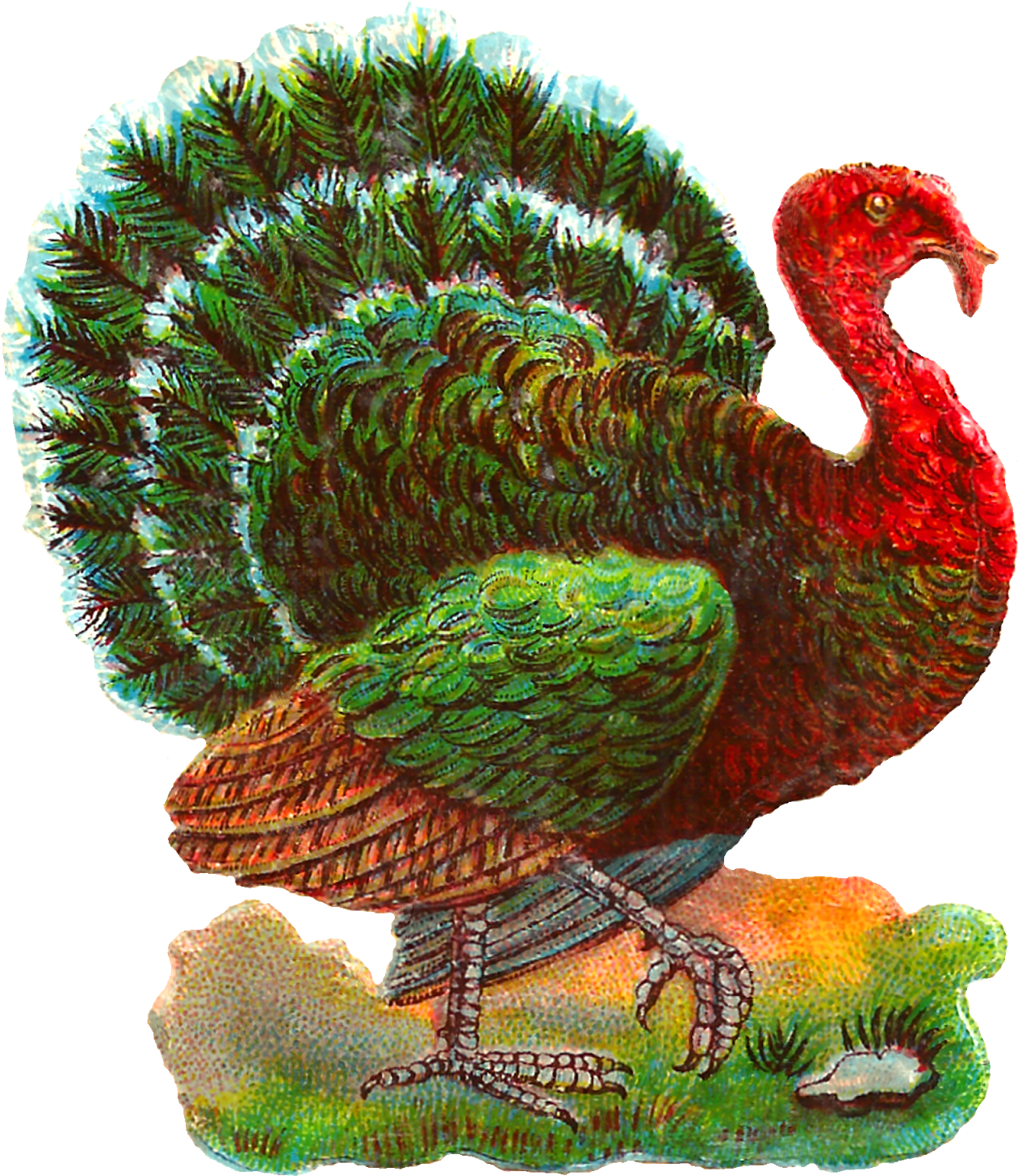 Vintage Thanksgiving Turkey Digital Bird Clip Art Jpg - Thanksgiving (1415x1600), Png Download