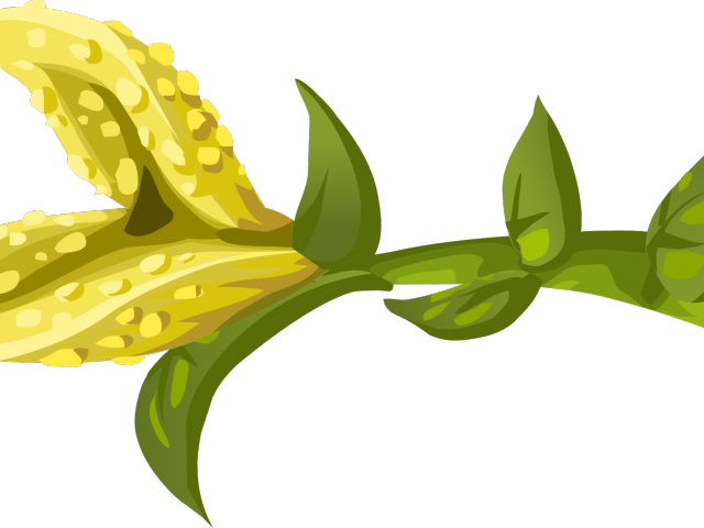 Herbs Clipart Flower - Flower (640x480), Png Download
