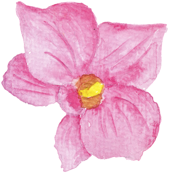 Pink Hand Painted Flower Fashion Paris Cartoon Transparent - Flower (1024x1024), Png Download