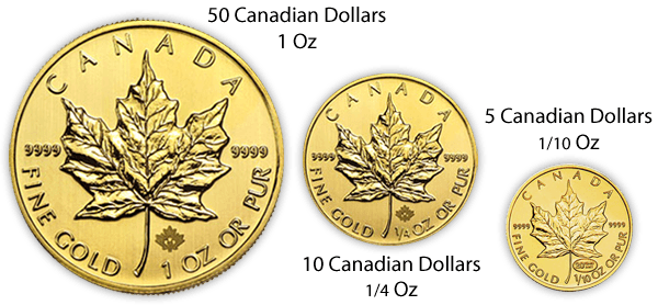 Gold Maple Leaf Coin Sizes - Canada 1 10 Oz Gold Maple Leafs Random Year (600x278), Png Download
