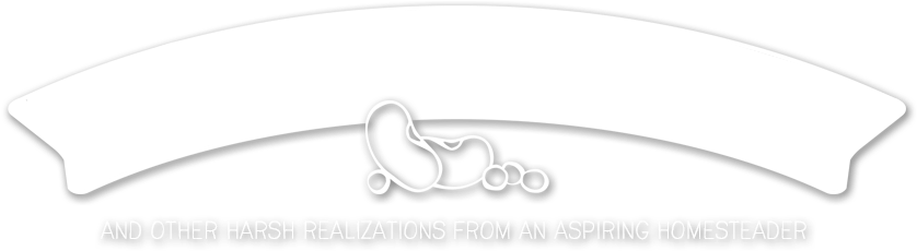 Logo - Beans Fart (861x229), Png Download