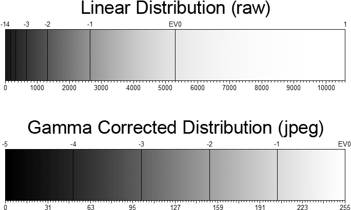 Linear Distribution Versus Gamma Corrected Distribution - Calibration (750x500), Png Download