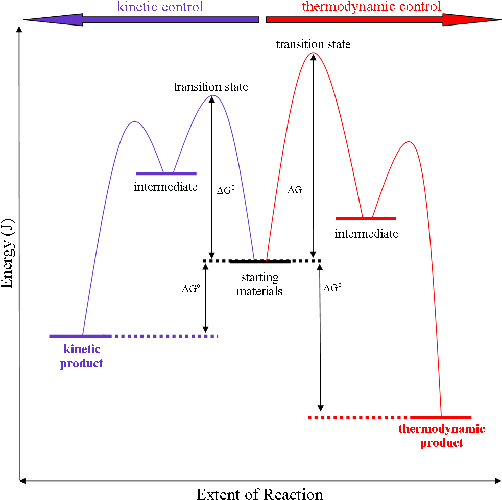 Thermodyamic Versus Kinetic Control - Thermodynamic Vs Kinetic Double Bonds (1004x999), Png Download
