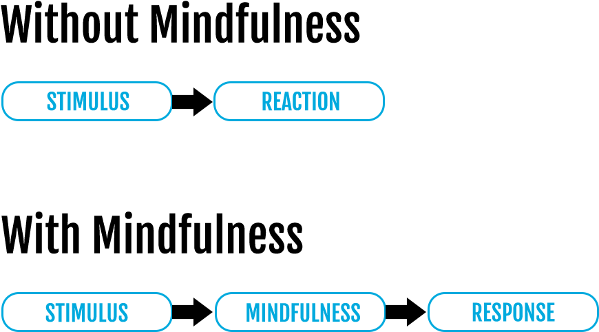 M Versus M 5 - Portable Network Graphics (957x1067), Png Download