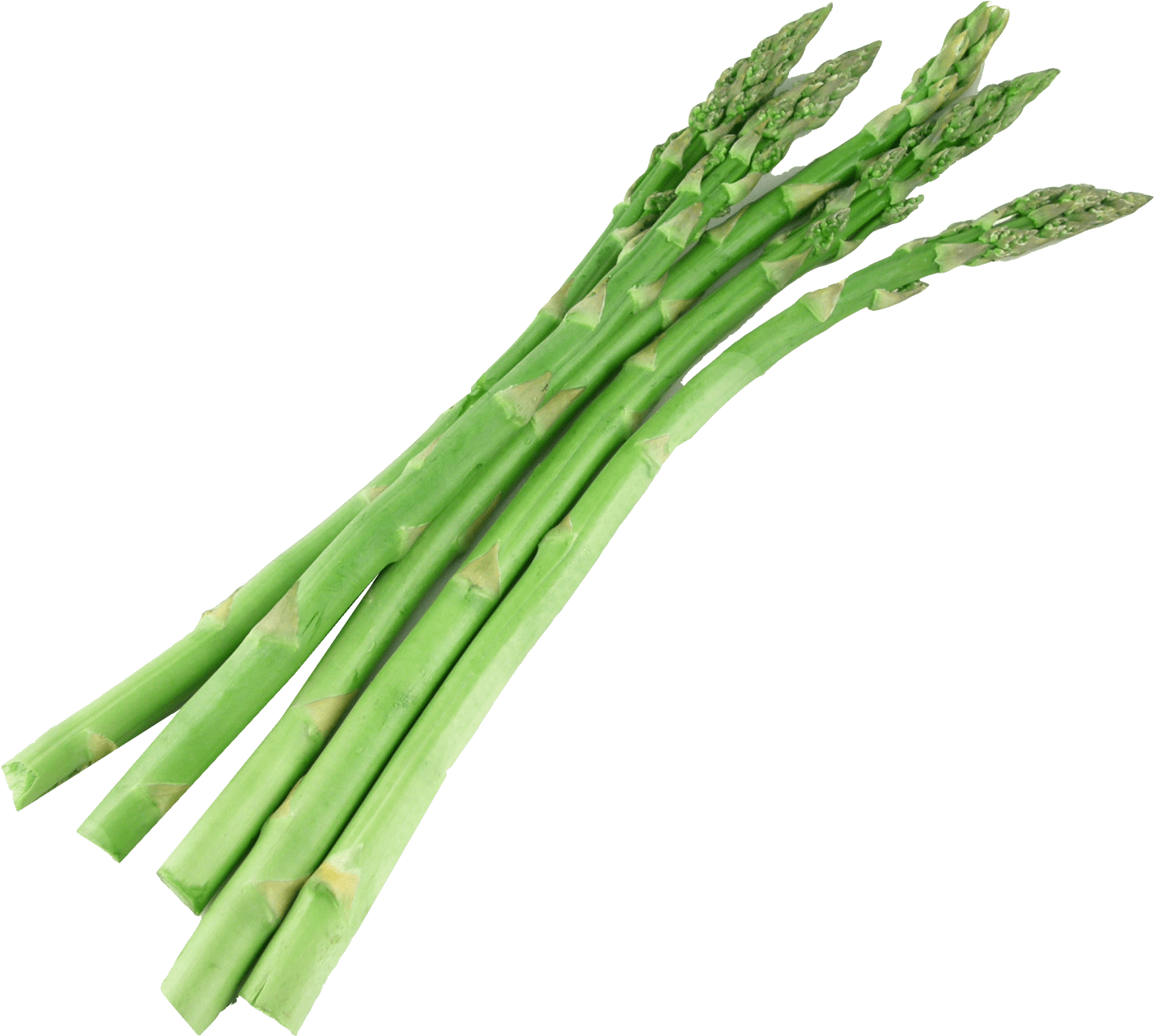 Bunch Of Asparagus - Seasonal Food: A Guide To What's In Season When And (1557x1368), Png Download