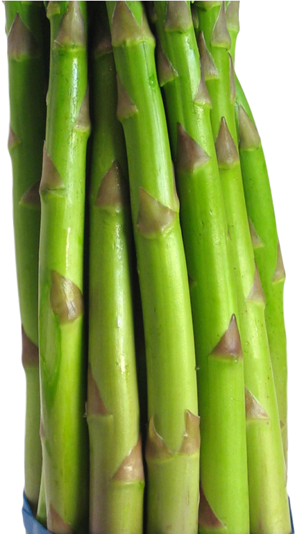 Asparagus Png Image - Asparagus Png (1024x768), Png Download