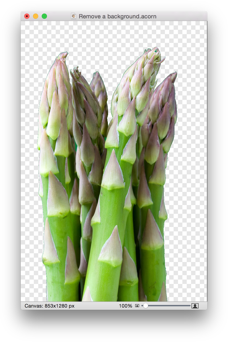 Screen Shot 2015 05 13 At - Bamboo Png Images With Transparent Background (800x1196), Png Download