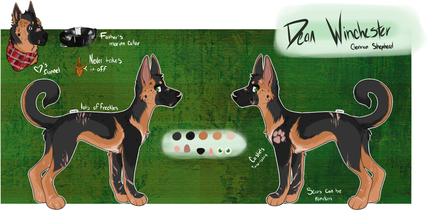 On February 23 Of 2018, My Version Of Dean Winchester - Old German Shepherd Dog (1500x771), Png Download