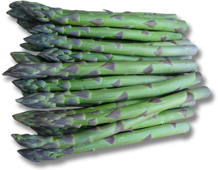 Guelph (556x350), Png Download