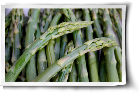 Grilled Asparagus - Plants High In Protein (500x344), Png Download