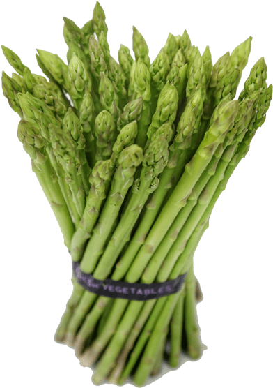 Batlle Rocket Seeds (600x600), Png Download